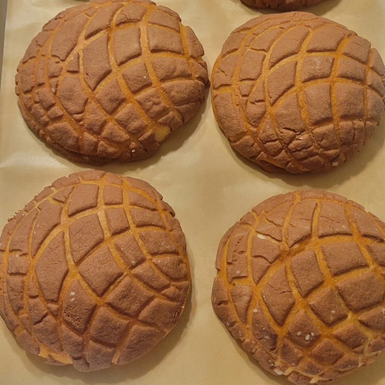 Artisan Chocolate Concha